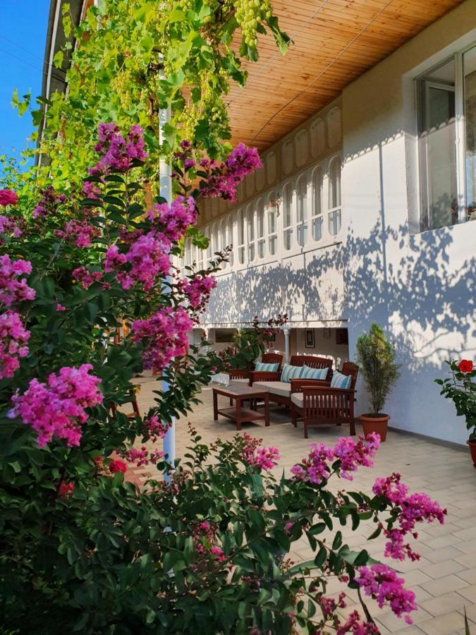 Nazy'S Guest House Joqolo المظهر الخارجي الصورة